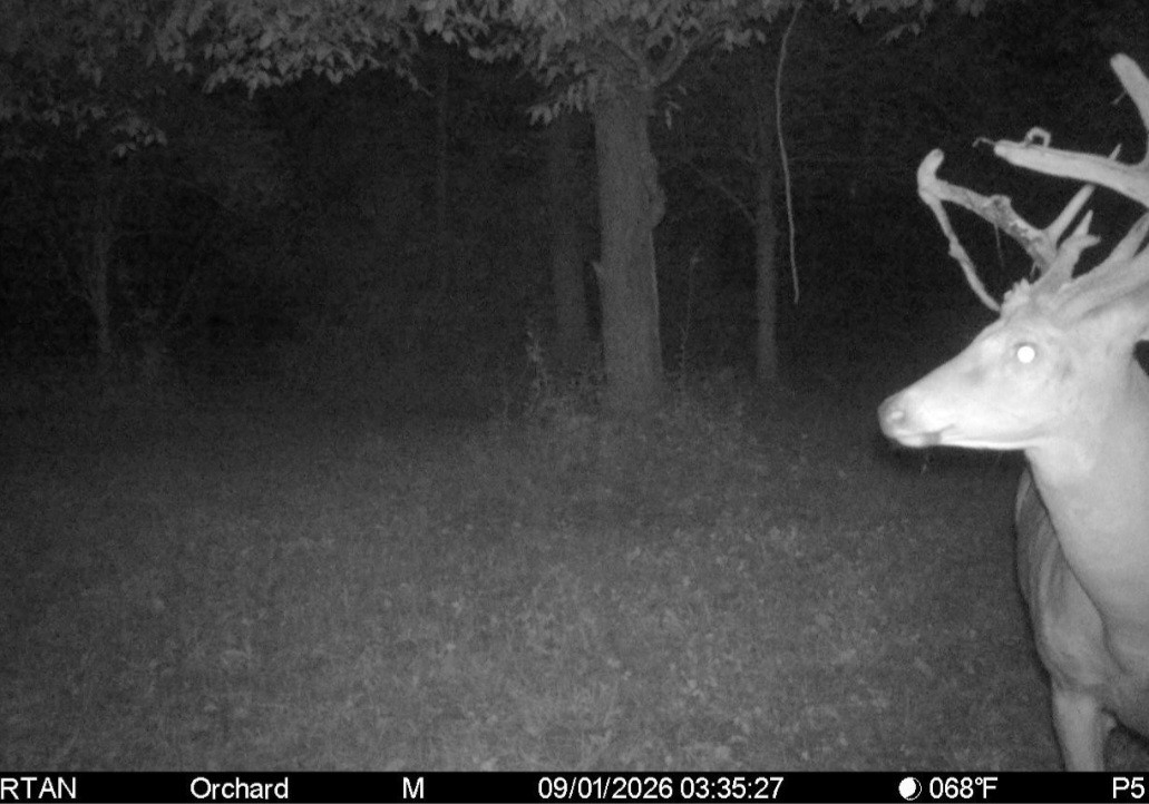 Click image for larger version

Name:	Screenshot_20260901_073628_Spartan Camera.jpg
Views:	30
Size:	163.3 KB
ID:	5455