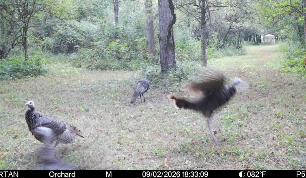 Click image for larger version

Name:	Screenshot_20260902_185039_Spartan Camera.jpg
Views:	24
Size:	229.7 KB
ID:	5540