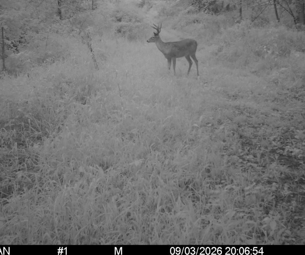 Click image for larger version

Name:	Screenshot_20260903_212307_Spartan Camera.jpg
Views:	23
Size:	188.7 KB
ID:	5565