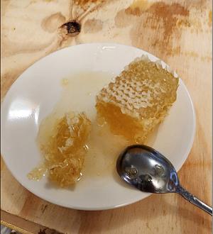 Click image for larger version

Name:	honey 1 2026.jpg
Views:	53
Size:	89.6 KB
ID:	5665