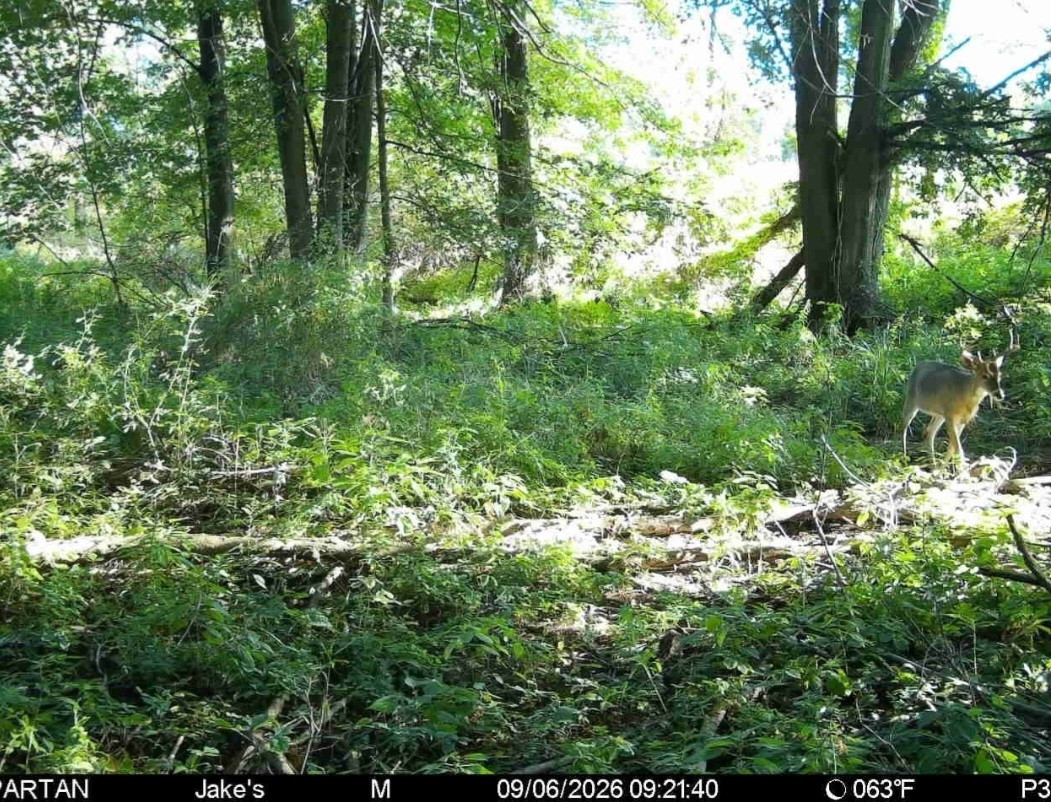 Click image for larger version

Name:	Screenshot_20260906_095735_Spartan Camera.jpg
Views:	18
Size:	428.8 KB
ID:	5669