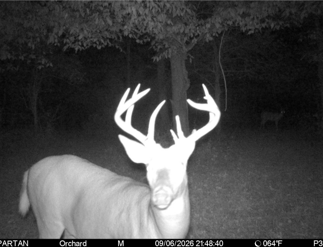 Click image for larger version

Name:	Screenshot_20260906_215523_Spartan Camera.jpg
Views:	18
Size:	185.2 KB
ID:	5706