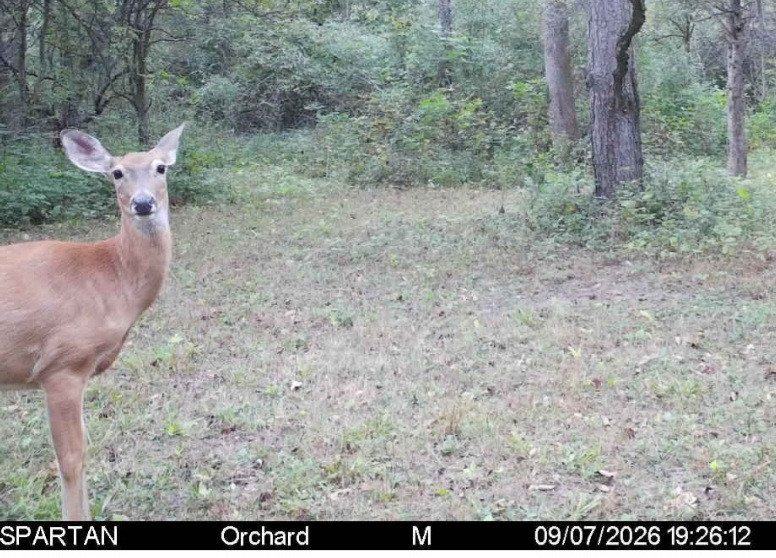 Click image for larger version  Name:	Screenshot_20260907_211704_Spartan Camera.jpg Views:	0 Size:	175.6 KB ID:	5754