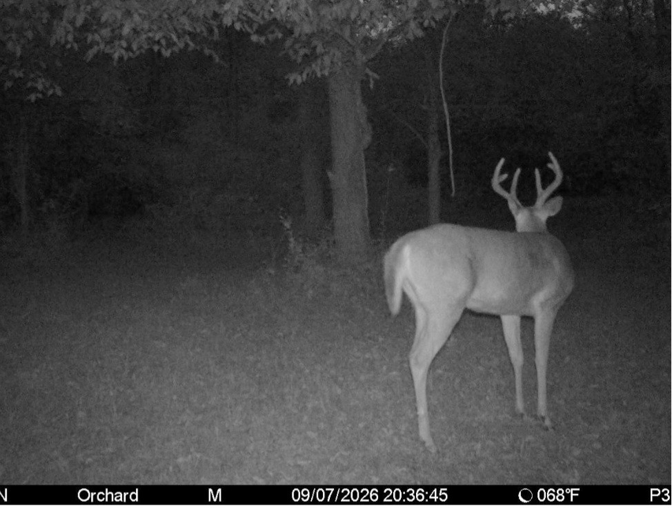 Click image for larger version

Name:	Screenshot_20260907_211904_Spartan Camera.jpg
Views:	36
Size:	162.4 KB
ID:	5756