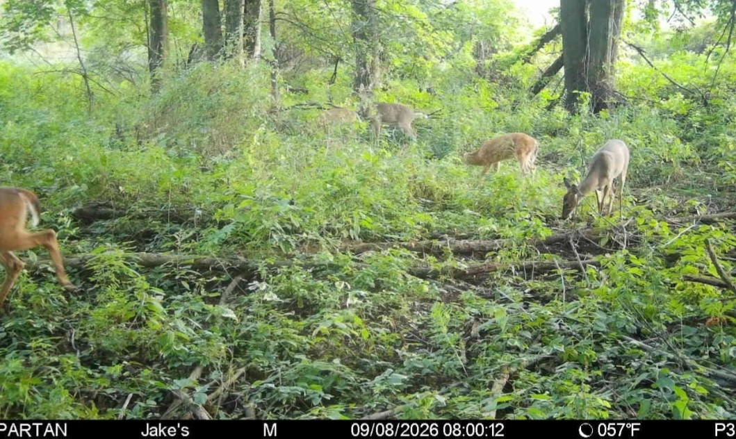 Click image for larger version  Name:	Screenshot_20260908_080245_Spartan Camera.jpg Views:	0 Size:	309.0 KB ID:	5763
