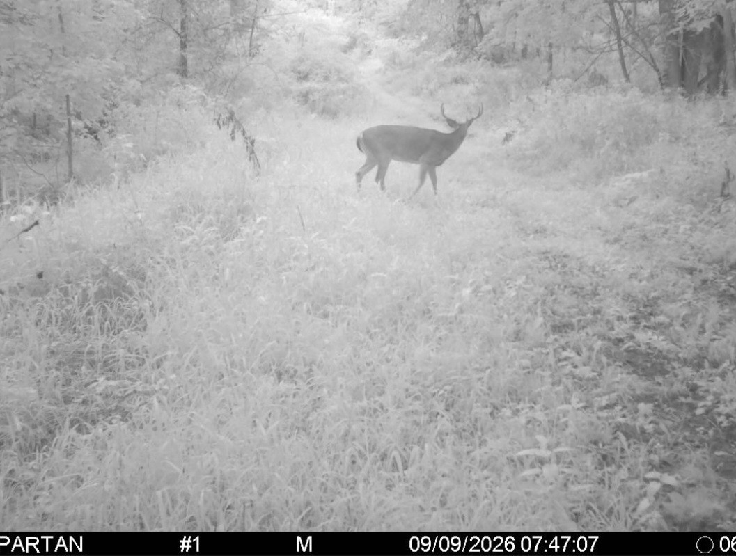 Click image for larger version

Name:	Screenshot_20260909_075055_Spartan Camera.jpg
Views:	23
Size:	177.5 KB
ID:	5814