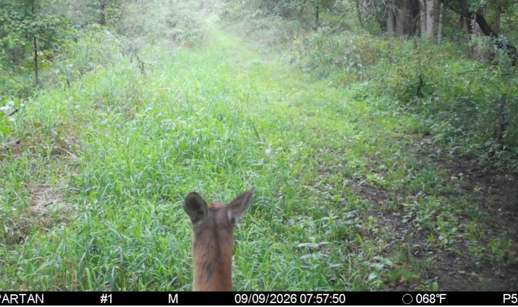 Click image for larger version

Name:	Screenshot_20260909_080241_Spartan Camera.jpg
Views:	23
Size:	245.8 KB
ID:	5816
