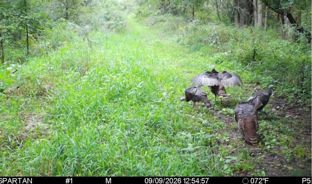 Click image for larger version

Name:	Screenshot_20260909_131913_Spartan Camera.jpg
Views:	25
Size:	318.1 KB
ID:	5825