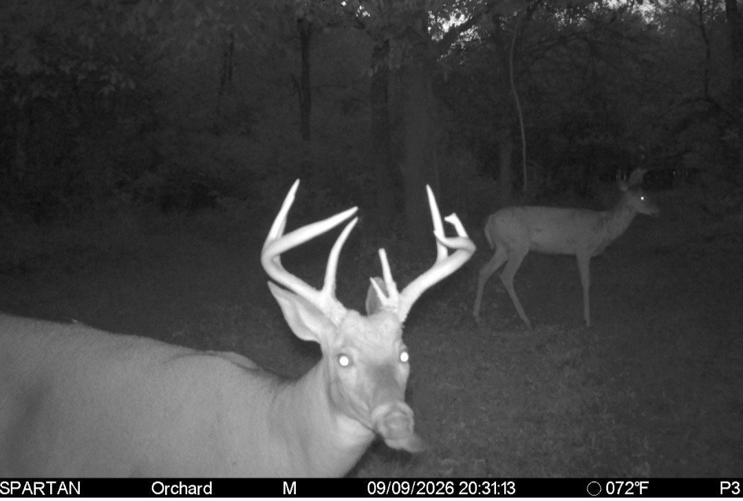 Click image for larger version

Name:	Screenshot_20260909_203818_Spartan Camera.jpg
Views:	15
Size:	127.0 KB
ID:	5832