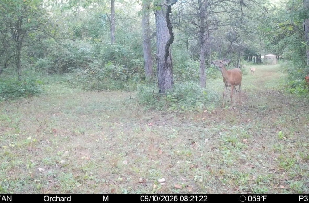 Click image for larger version

Name:	Screenshot_20260910_094824_Spartan Camera.jpg
Views:	12
Size:	250.3 KB
ID:	5849