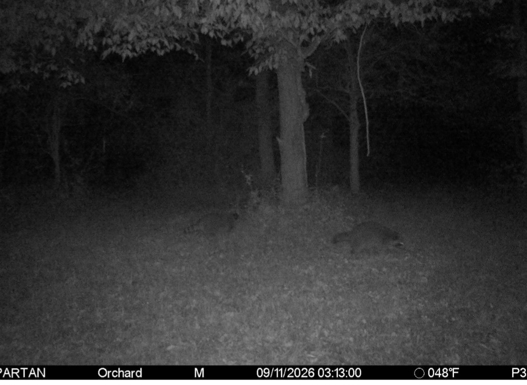Click image for larger version

Name:	Screenshot_20260911_080334_Spartan Camera.jpg
Views:	5
Size:	165.2 KB
ID:	5891