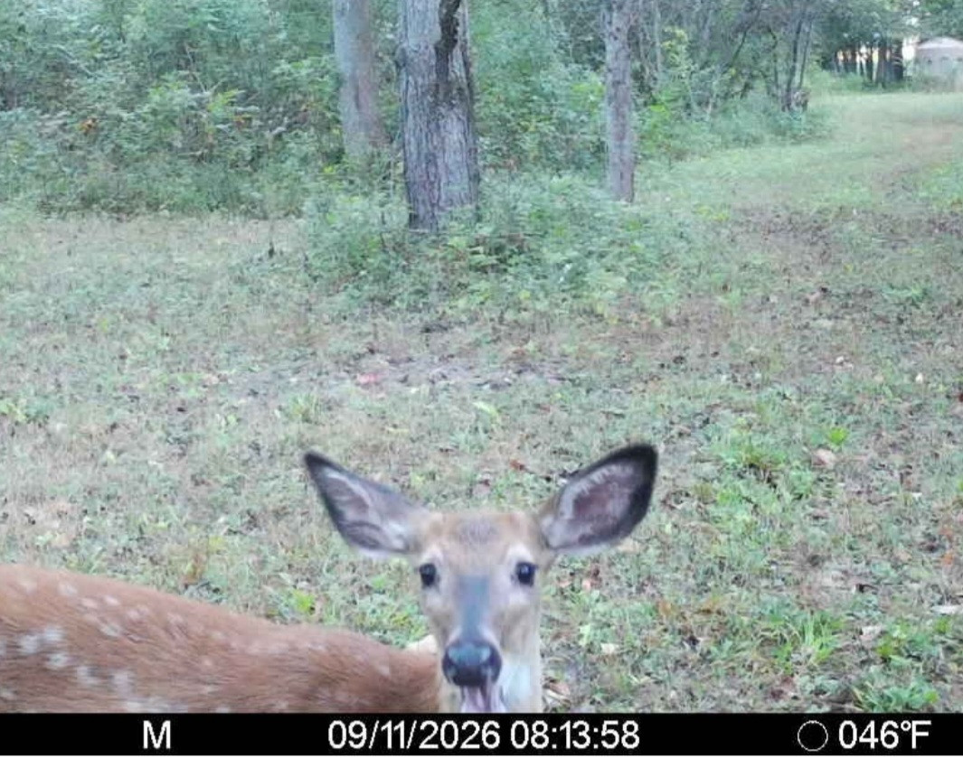 Click image for larger version

Name:	Screenshot_20260911_084541_Spartan Camera.jpg
Views:	4
Size:	267.4 KB
ID:	5895