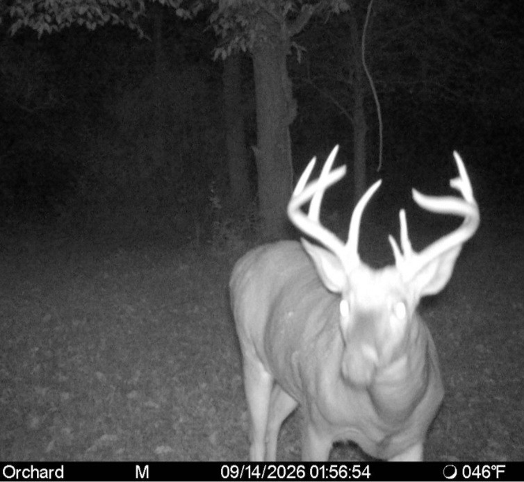 Click image for larger version

Name:	Screenshot_20260914_152809_Spartan Camera.jpg
Views:	36
Size:	111.4 KB
ID:	6024