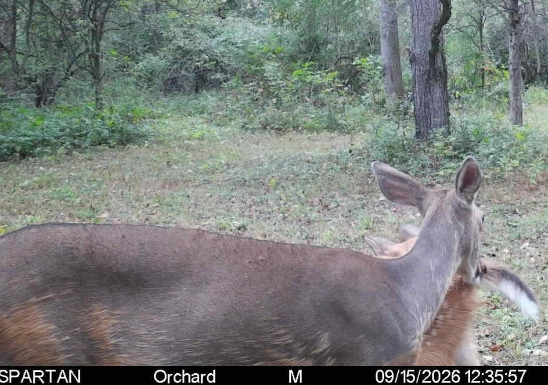 Click image for larger version

Name:	Screenshot_20260915_141417_Spartan Camera.jpg
Views:	33
Size:	261.2 KB
ID:	6034