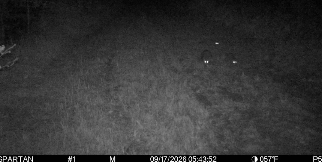 Click image for larger version

Name:	Screenshot_20260917_075416_Spartan Camera.jpg
Views:	25
Size:	131.4 KB
ID:	6084