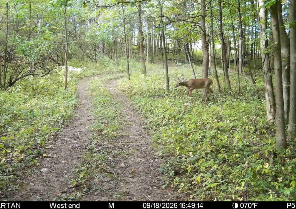 Click image for larger version

Name:	Screenshot_20260918_165414_Spartan Camera.jpg
Views:	53
Size:	374.1 KB
ID:	6170