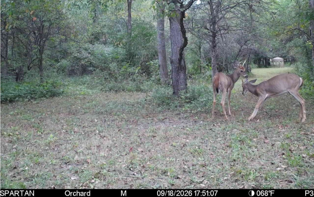 Click image for larger version

Name:	Screenshot_20260918_175603_Spartan Camera.jpg
Views:	21
Size:	304.8 KB
ID:	6179