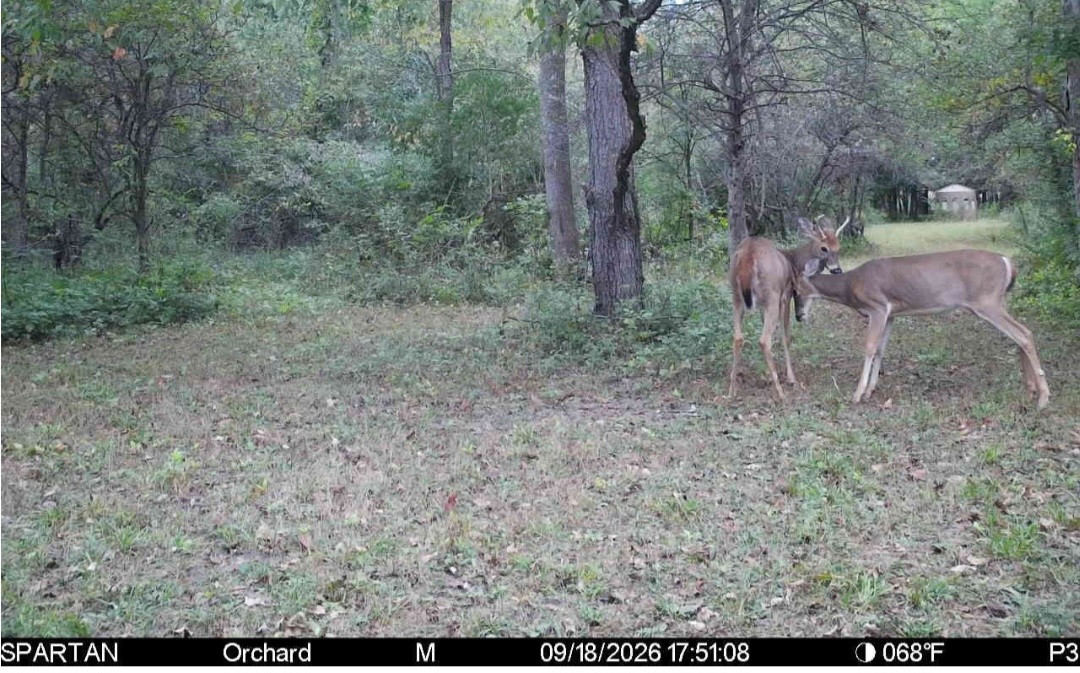 Click image for larger version

Name:	Screenshot_20260918_180103_Spartan Camera.jpg
Views:	20
Size:	311.5 KB
ID:	6180