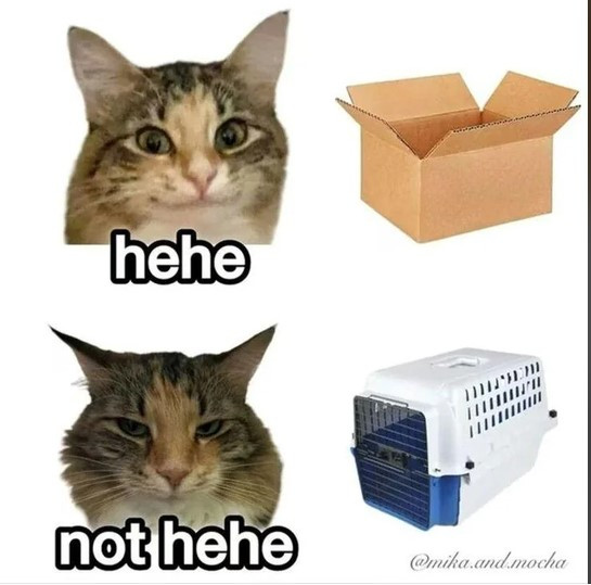 Click image for larger version

Name:	CAT1.jpg
Views:	19
Size:	58.8 KB
ID:	6330