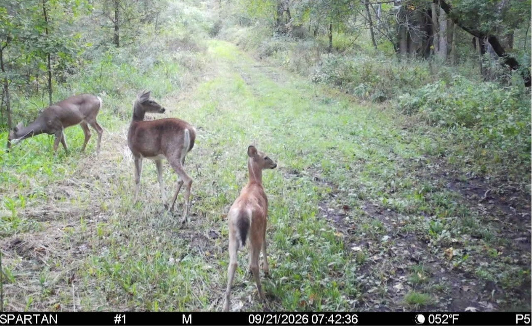 Click image for larger version

Name:	Screenshot_20260921_080631_Spartan Camera.jpg
Views:	10
Size:	296.2 KB
ID:	6335