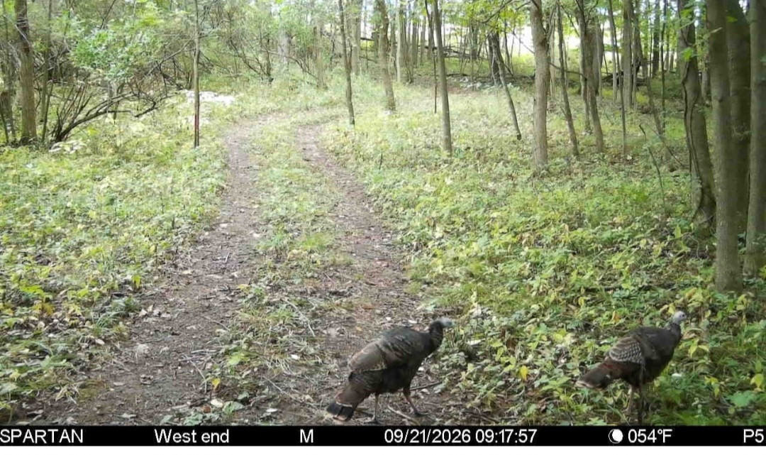 Click image for larger version

Name:	Screenshot_20260921_105859_Spartan Camera.jpg
Views:	35
Size:	312.0 KB
ID:	6342