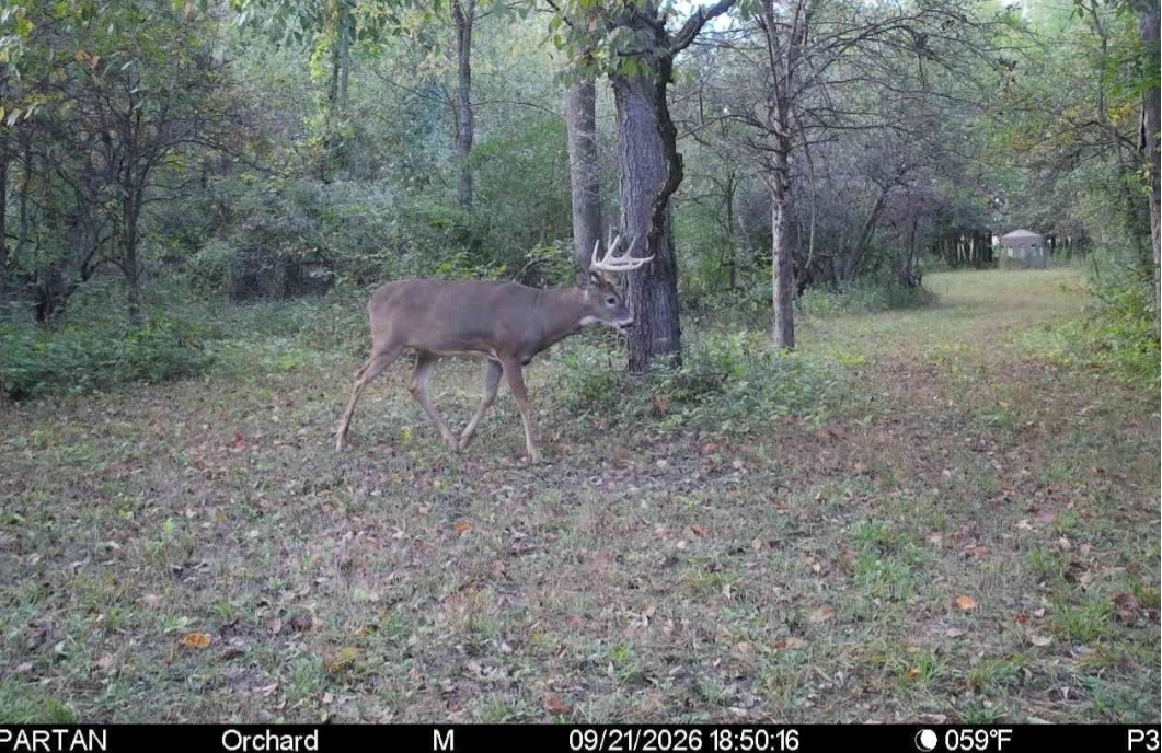 Click image for larger version

Name:	Screenshot_20260921_190437_Spartan Camera.jpg
Views:	27
Size:	301.8 KB
ID:	6358