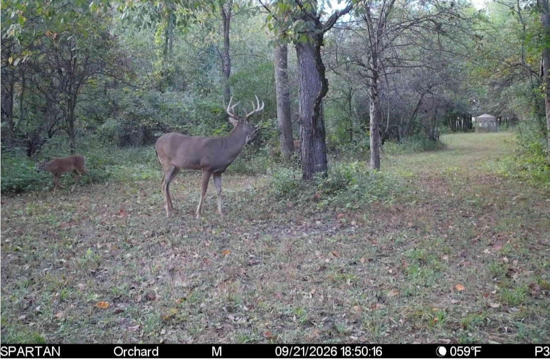 Click image for larger version

Name:	Screenshot_20260921_190143_Spartan Camera.jpg
Views:	27
Size:	324.6 KB
ID:	6359