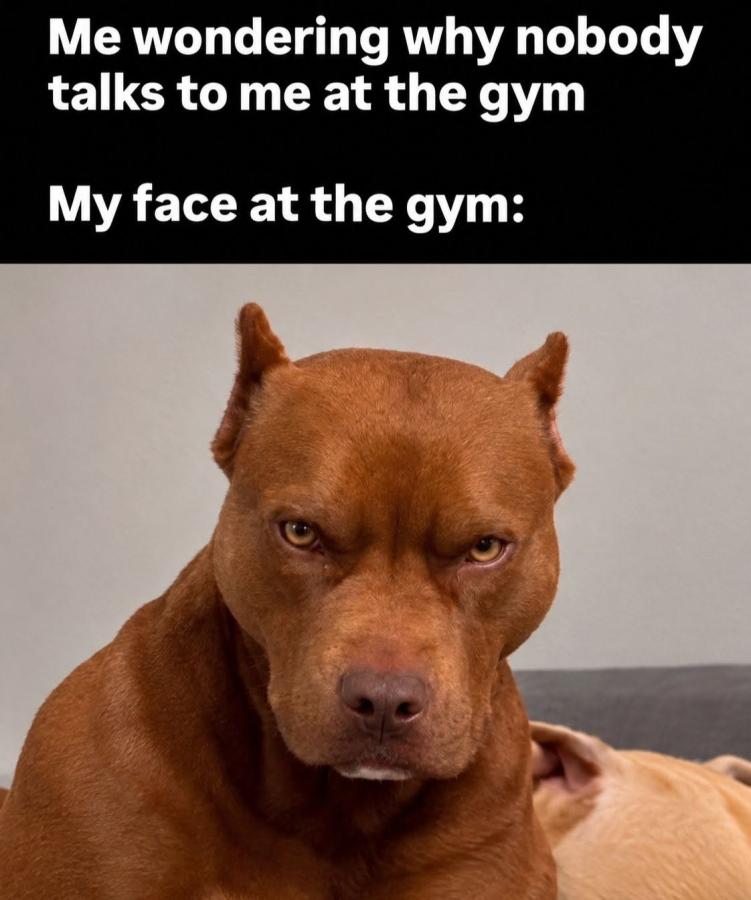 Click image for larger version

Name:	799843838_2893122477699183_4716382086242850649_n.jpg
Views:	54
Size:	64.3 KB
ID:	6371