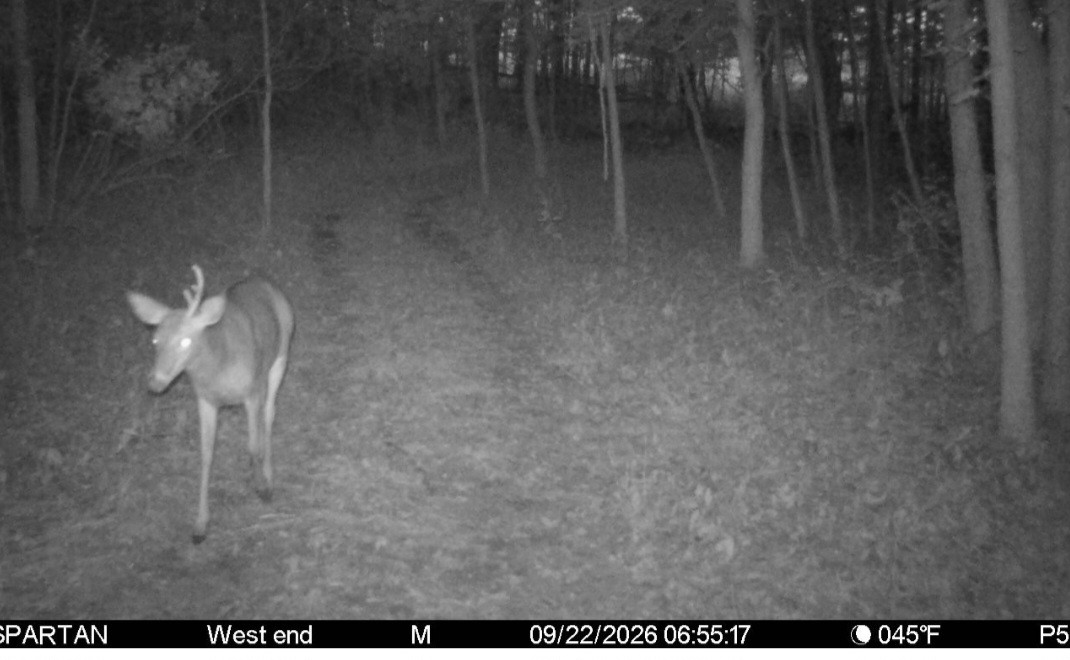 Click image for larger version

Name:	Screenshot_20260922_081521_Spartan Camera.jpg
Views:	28
Size:	138.3 KB
ID:	6382