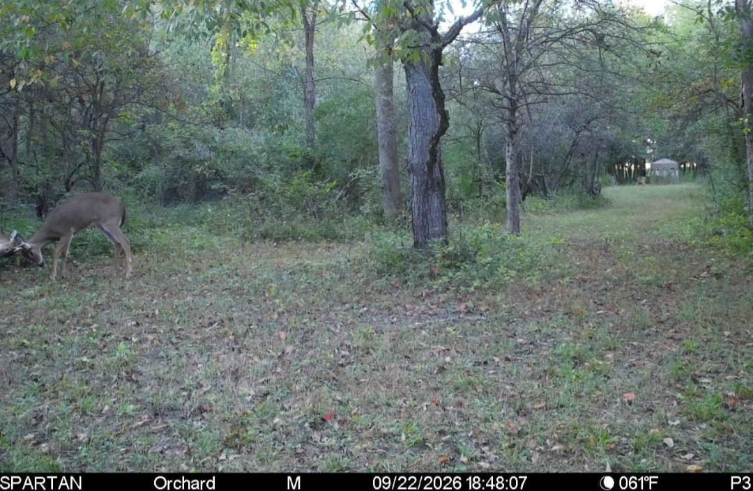 Click image for larger version

Name:	Screenshot_20260922_190317_Spartan Camera.jpg
Views:	26
Size:	307.6 KB
ID:	6418