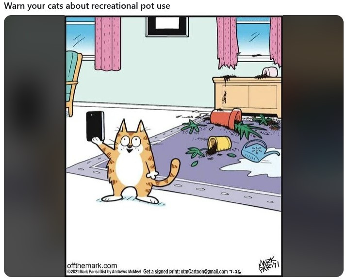 Click image for larger version

Name:	CAT2.jpg
Views:	10
Size:	84.1 KB
ID:	6431