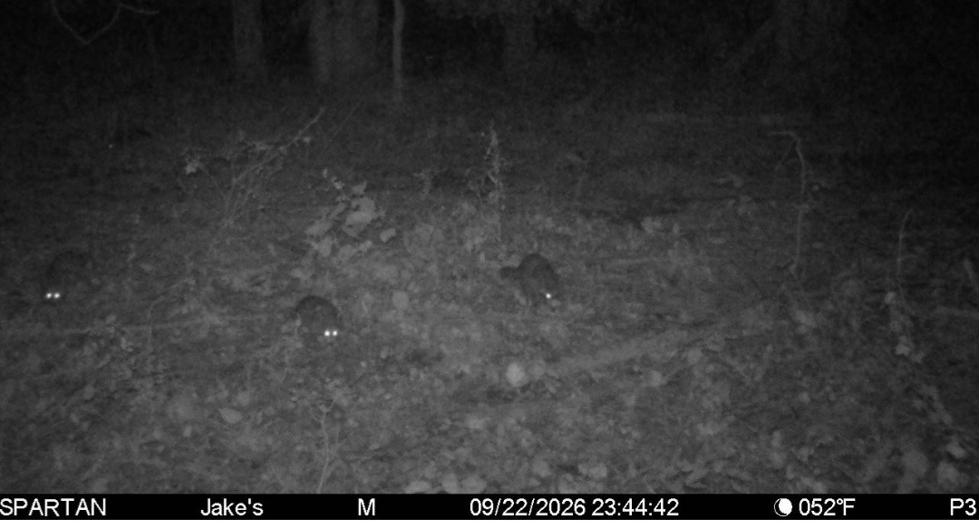 Click image for larger version

Name:	Screenshot_20260923_084316_Spartan Camera.jpg
Views:	23
Size:	118.5 KB
ID:	6436