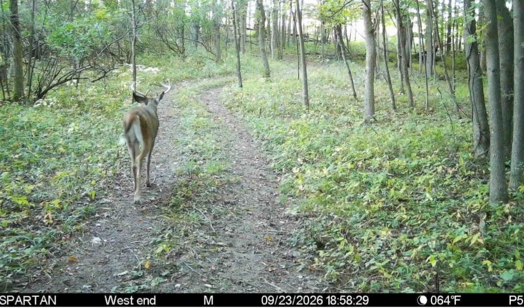 Click image for larger version

Name:	Screenshot_20260923_190629_Spartan Camera.jpg
Views:	20
Size:	324.9 KB
ID:	6456