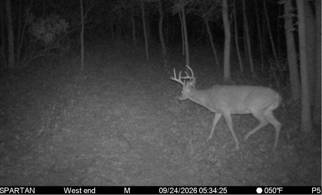Click image for larger version

Name:	Screenshot_20260924_073122_Spartan Camera.jpg
Views:	17
Size:	129.2 KB
ID:	6477