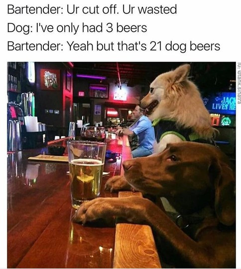 Click image for larger version

Name:	DOG1.jpg
Views:	35
Size:	88.8 KB
ID:	6518