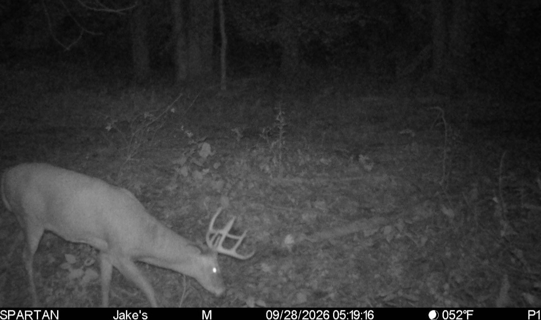 Click image for larger version

Name:	Screenshot_20260928_082907_Spartan Camera.jpg
Views:	54
Size:	124.9 KB
ID:	6632