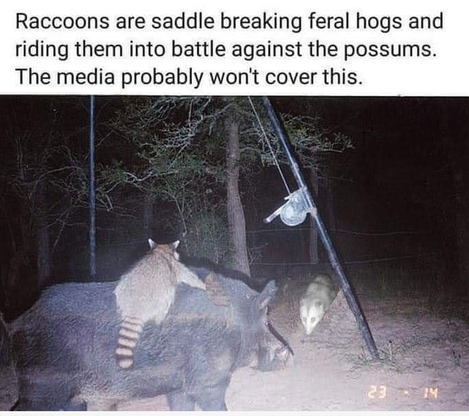 Click image for larger version

Name:	1 deer feeder wars.png
Views:	50
Size:	509.9 KB
ID:	6684