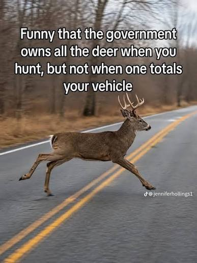 Click image for larger version

Name:	image.png
Views:	53
Size:	286.5 KB
ID:	6779
