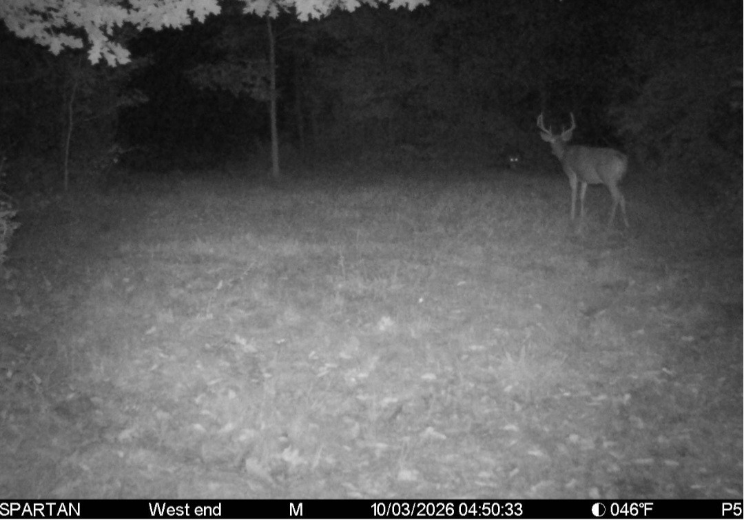 Click image for larger version

Name:	Screenshot_20261004_145757_Spartan Camera.jpg
Views:	23
Size:	151.4 KB
ID:	6790
