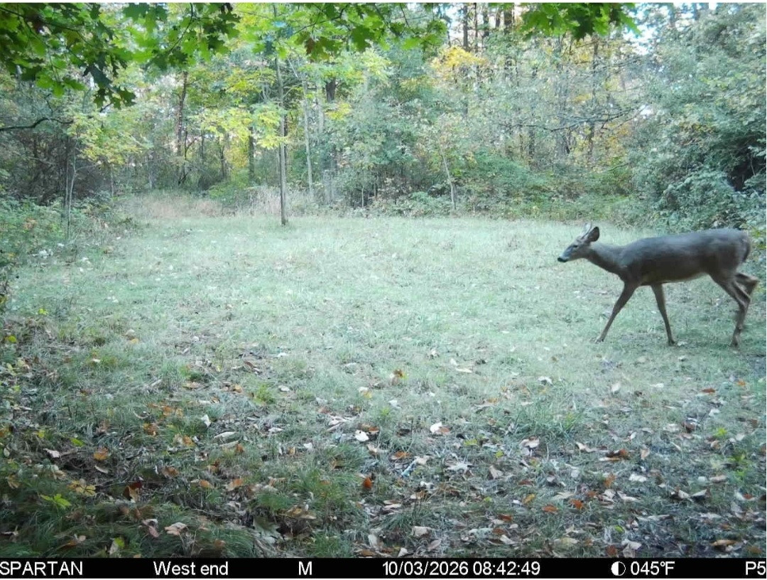 Click image for larger version

Name:	Screenshot_20261004_150142_Spartan Camera.jpg
Views:	23
Size:	383.5 KB
ID:	6792