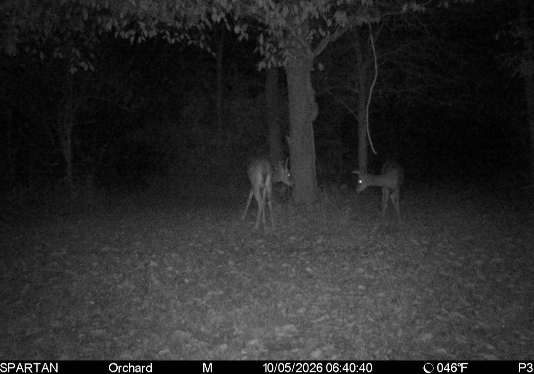 Click image for larger version

Name:	Screenshot_20261005_083041_Spartan Camera.jpg
Views:	18
Size:	181.3 KB
ID:	6805