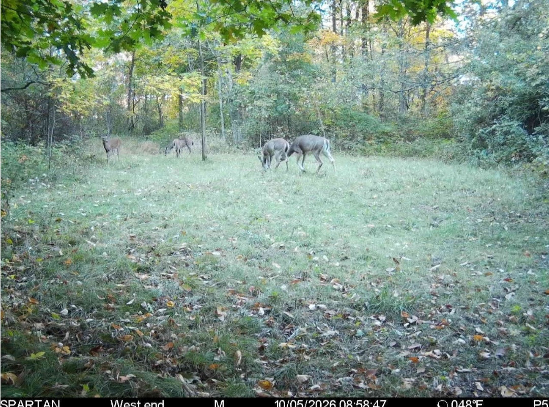 Click image for larger version

Name:	Screenshot_20261005_133238_Spartan Camera.jpg
Views:	14
Size:	387.8 KB
ID:	6818