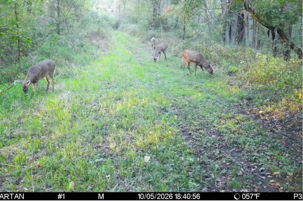 Click image for larger version

Name:	Screenshot_20261005_184306_Spartan Camera.jpg
Views:	11
Size:	305.9 KB
ID:	6824