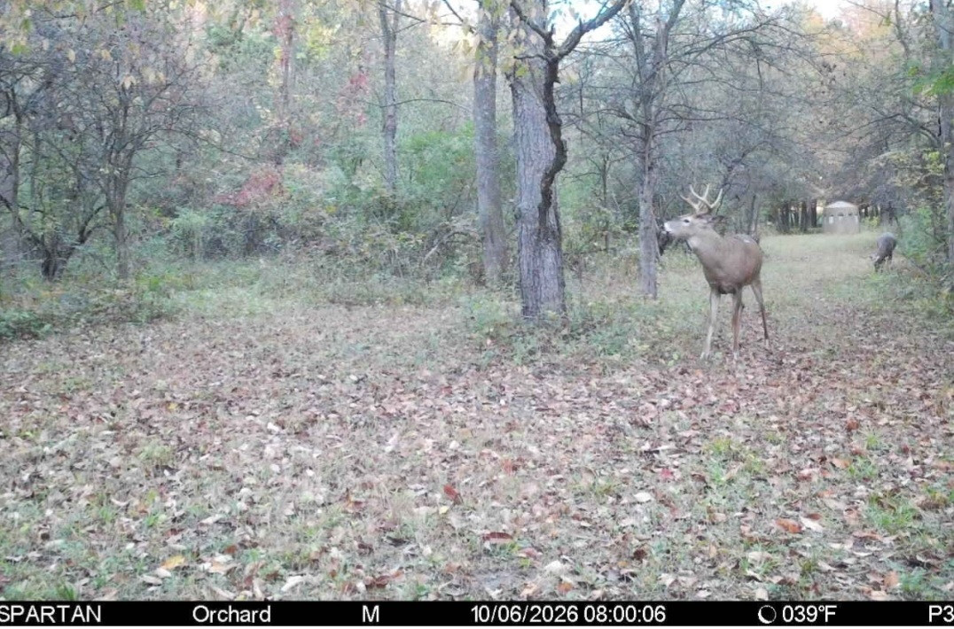 Click image for larger version

Name:	Screenshot_20261006_083339_Spartan Camera.jpg
Views:	10
Size:	307.3 KB
ID:	6839