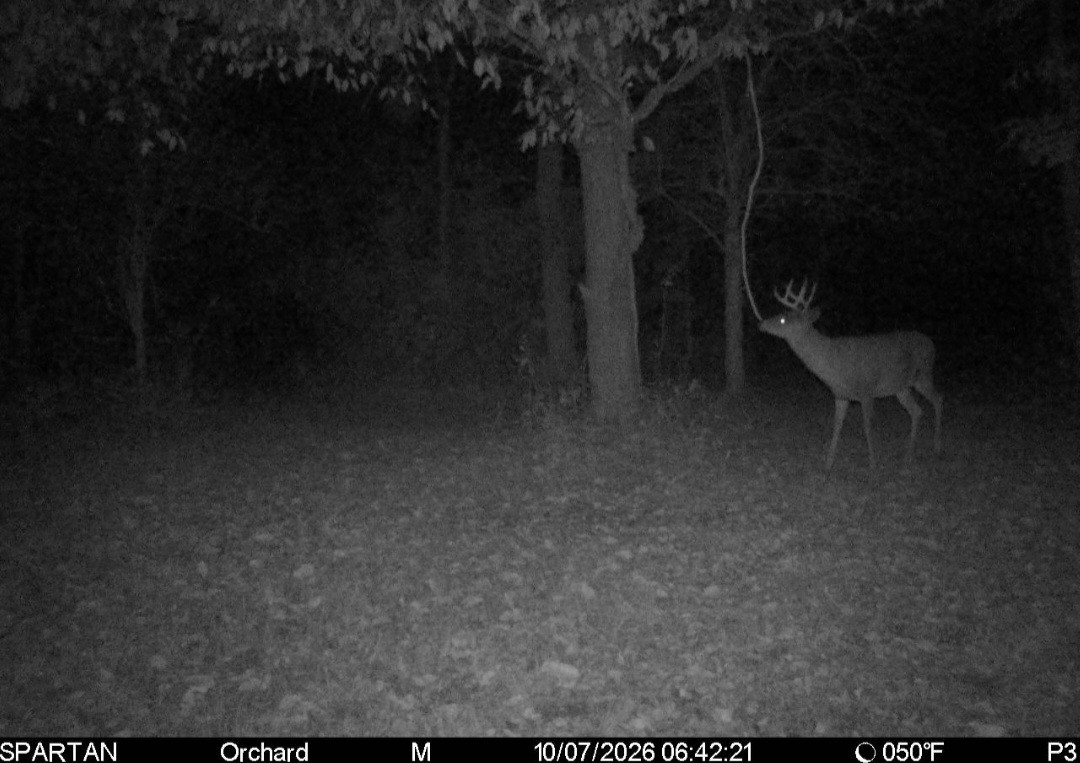 Click image for larger version

Name:	Screenshot_20261007_080628_Spartan Camera.jpg
Views:	15
Size:	182.5 KB
ID:	6869