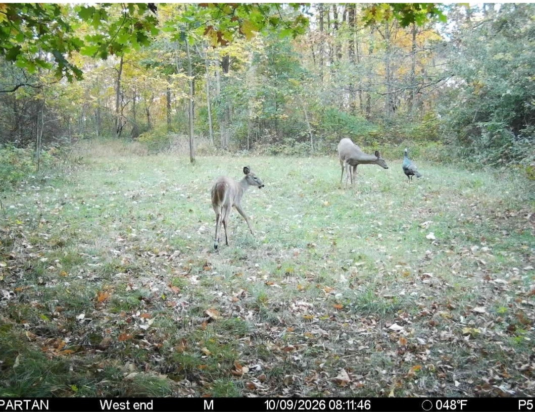 Click image for larger version  Name:	Screenshot_20261009_082837_Spartan Camera.jpg Views:	0 Size:	395.7 KB ID:	6914