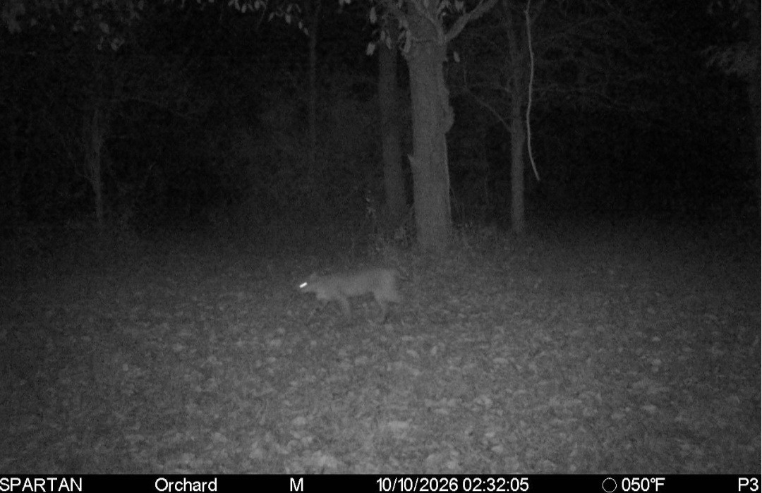 Click image for larger version

Name:	Screenshot_20261010_080303_Spartan Camera.jpg
Views:	31
Size:	164.0 KB
ID:	6963