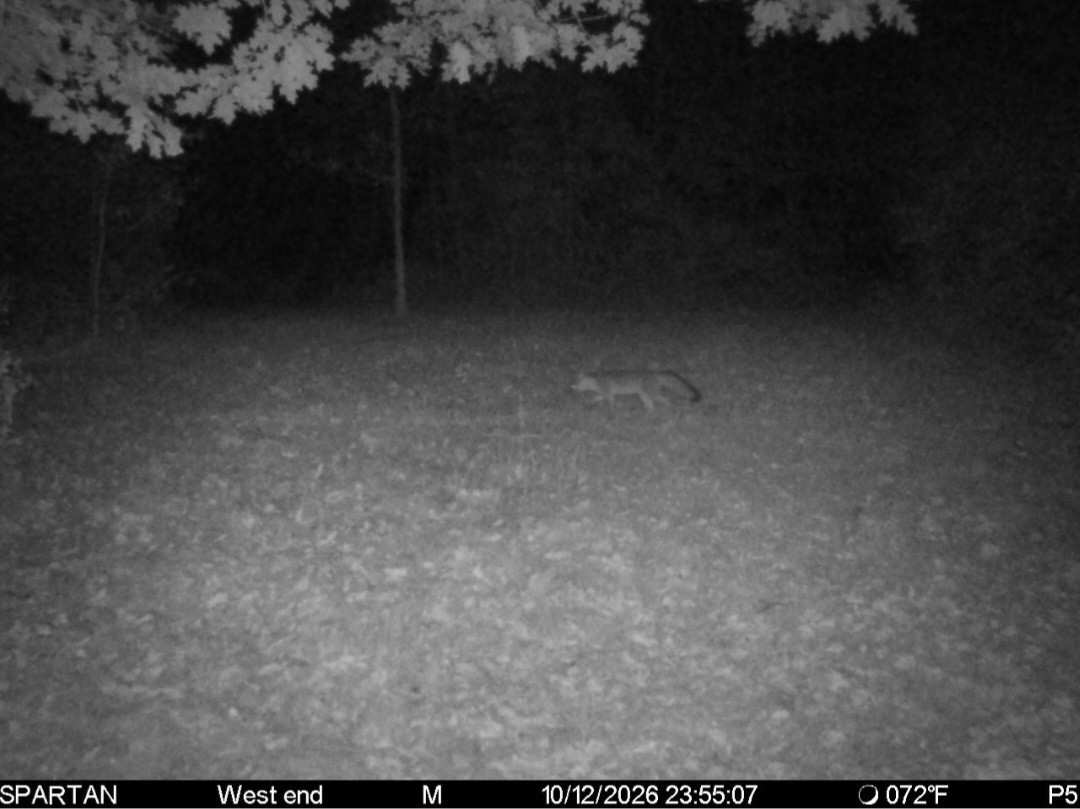 Click image for larger version

Name:	Screenshot_20261013_094120_Spartan Camera.jpg
Views:	24
Size:	152.4 KB
ID:	7073