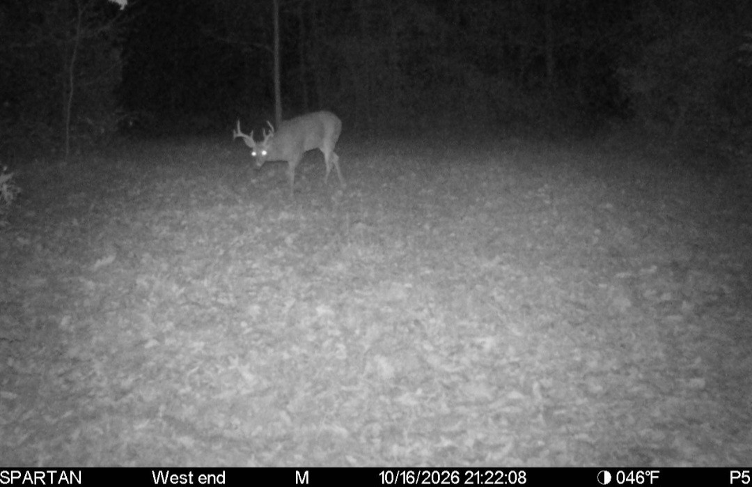 Click image for larger version

Name:	Screenshot_20261017_075750_Spartan Camera.jpg
Views:	19
Size:	142.2 KB
ID:	7169