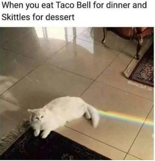 Click image for larger version

Name:	CAT2.jpg
Views:	4
Size:	55.4 KB
ID:	7289